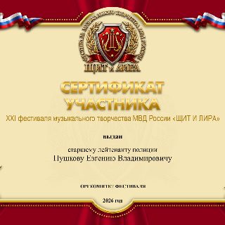 47  85.СЕРТИФИКАТ  ПушковУ Е.В..jpg